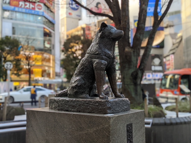 Hachiko