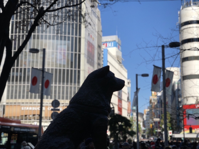 Hachiko